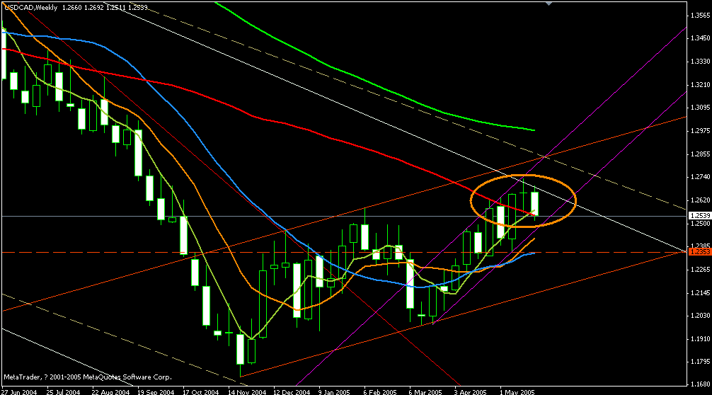 cad weekly 280505 a.gif